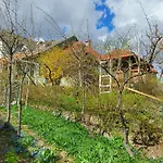 Kuschmann Apartmán Brašov