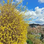 Kuschmann