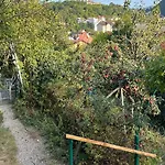 Kuschmann Brašov