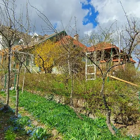 Kuschmann Appartamento Braşov