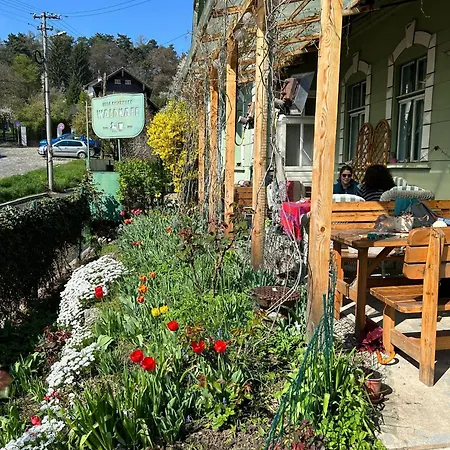 Kuschmann * בראשוב