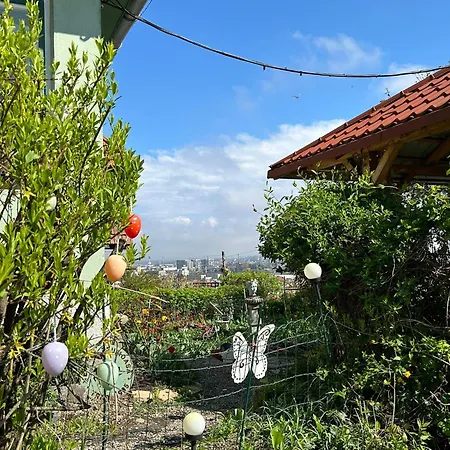 Kuschmann * בראשוב