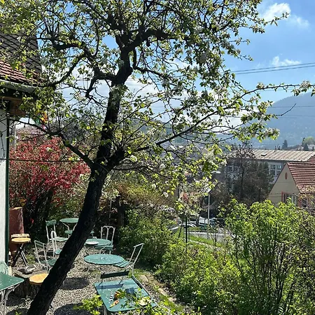 Kuschmann בראשוב