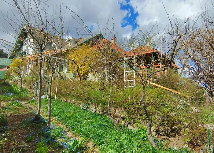 Kuschmann דירה בראשוב