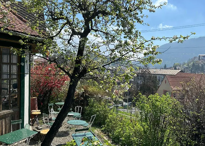 Kuschmann בראשוב